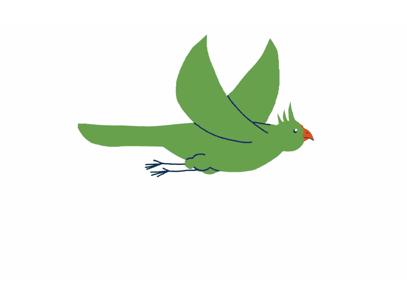 a birb animation bird flash flash animation flying