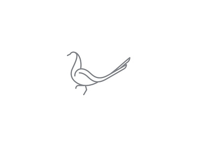 Pheasant bird abstract bird line logo minimalist monoline pheasant simple
