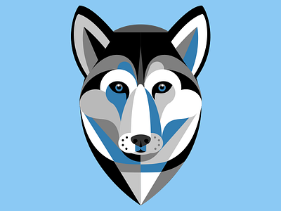 Husky blue color dog eyes husky wild winter wolf