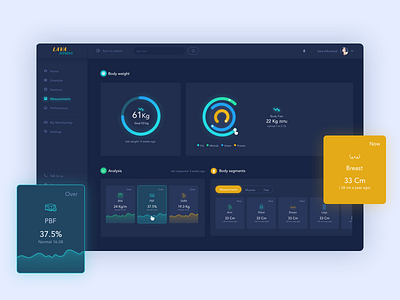 Lava Dashboard - Measurments