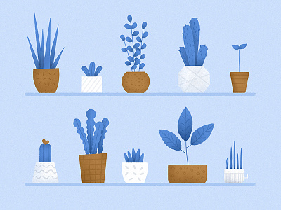 Plants blue flat illustration illustrator minimalism photoshop plants texture vector