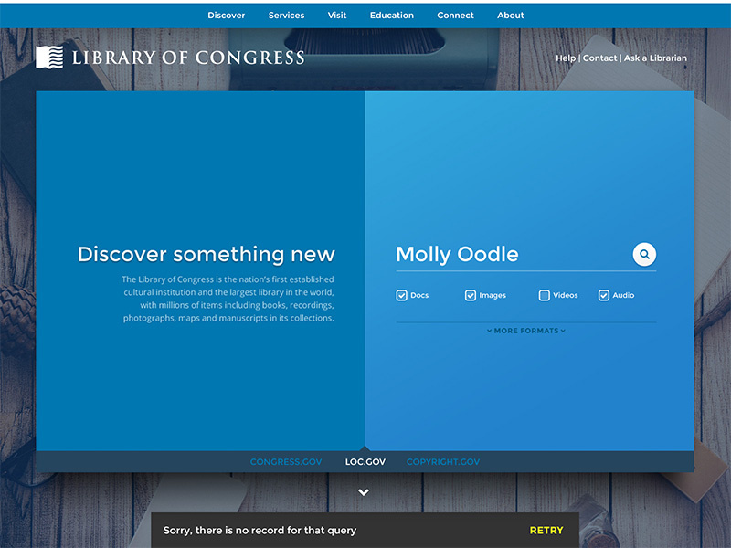 DailyUI Day011 web design blue redesign media books library search ui dailyui