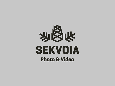 Sekvoia black brand brandidentity branding font logo logotype photo sekvoia video
