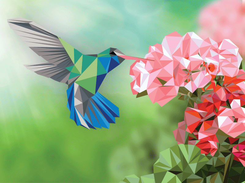 Hummingbird animated flower gif hummingbird illustration vector