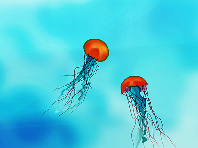 Jellyfish illustration jellyfish vector