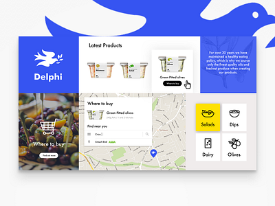Delphi Brandboard brand packaging ui website design