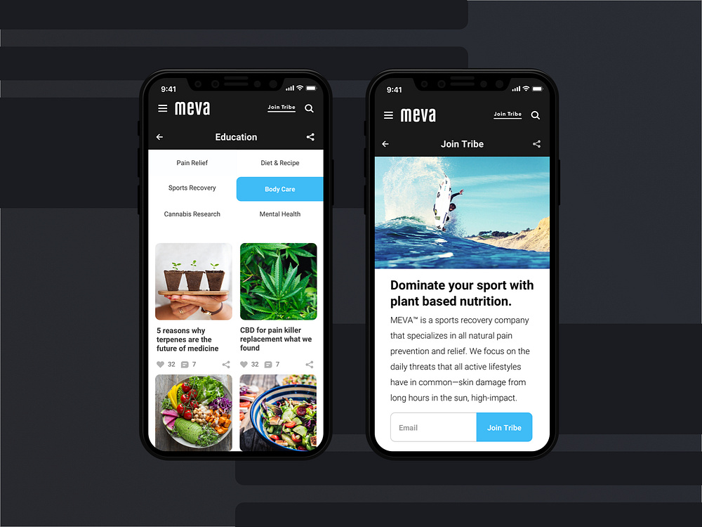 Meva by Steve Lindgren on Dribbble