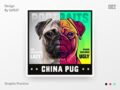 DOG PORTRAITS - PUG dog icon photo sa9527