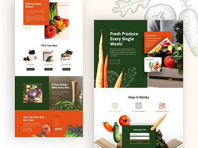 Produce Box Landing Page Design business design divi farmer firm food homepage landing page organic food organic shop produce shop ui ux web design website