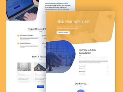 Risk Management Landing Page Design for Divi agency business consultancy corporate divi finance homepage insurance landing page risk management theme web design website wordpress