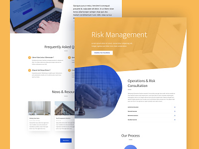 Risk Management Landing Page Design for Divi