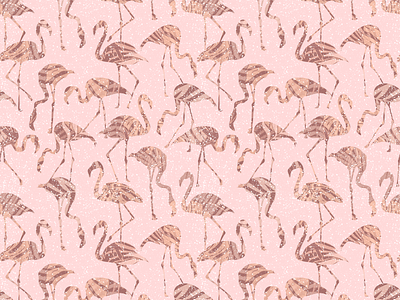 Flamingos