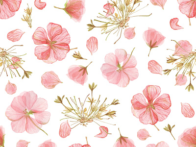 Watercolor pink geranium seamless pattern on white