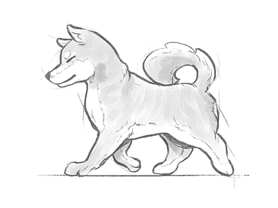 Shiba sketch