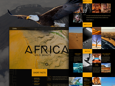 Wild Beauty africa continent dark guide journey landing nature todo travel ui web website