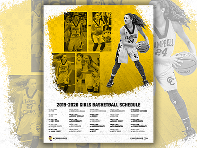 Basketball Poster