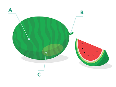 How to pick a 🍉 hints pick summer survival tips watermelon