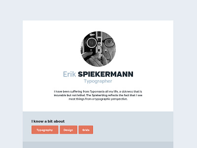 Profile clean directory people profile simple typography ui wip