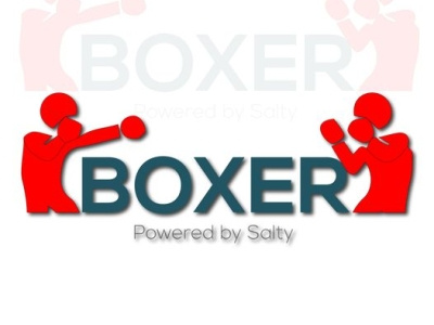 boxer logo branding design illustration logo