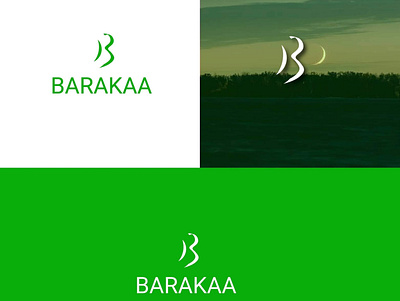 Islamic logo app branding design graphic design icon illustration logo vector