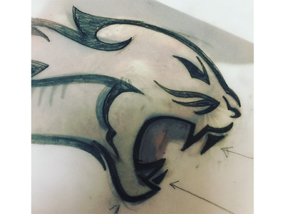 Cougar Sketch