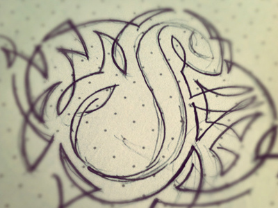 "S" Sketch