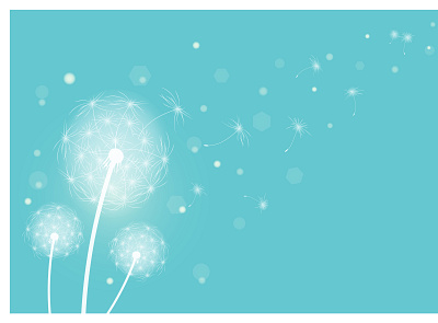 Fluffy dandelions banner boho design illustration vector