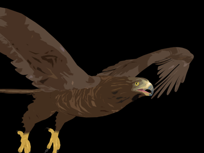 3D Eagle - Flat Render