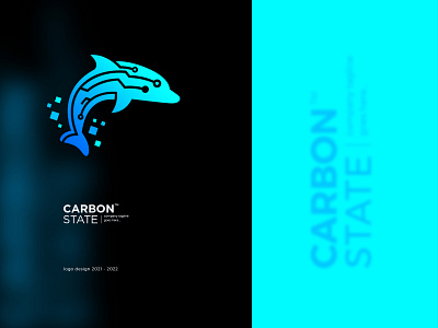 carbon state