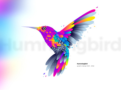 hummingbird branding design graphic design illustration vector