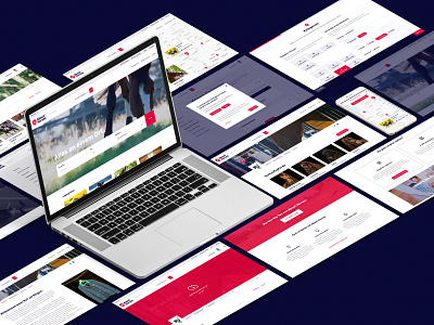 About Horses Case Study is online! branding case study concept horse platform user experience website