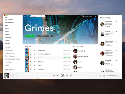 Spotify Light Theme