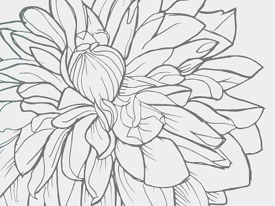 Flower Dribble flower illustration pattern