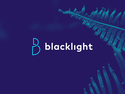 Blacklight Logo