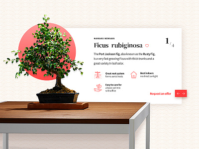 Premium Bonsais 3d bonsai exhibition experimental japanese premium tree ui ux