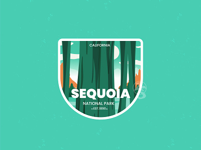 Sequoia 3d badge branding decal design flat graphic design illustration line art logo motion graphics national park retro sequoia ui usa vector