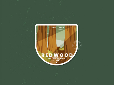 Readwood National Park 3d adventure logo animation badge branding design flat graphic design icon illustration line art logo motion graphics mountain national park retro summer typography ui vector