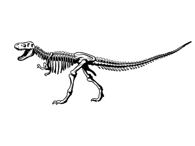 Dinosaur Skeleton Vector black