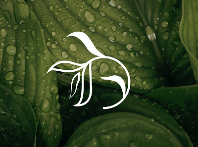 Plantarium - Logo design adobe brand branding design dribbble graphic design illustrator logo logodesign plants