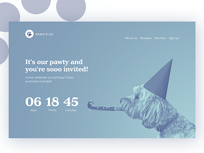 Daily UI - Countdown Timer