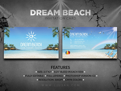 Dream Beach Invitations Card abstract art background banner beach beautiful card celebration concept decoration design dream exotic fashion graphic happy holiday illustration invitation