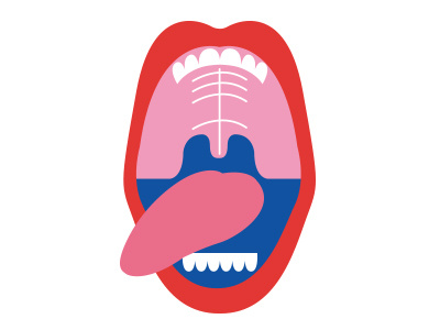 mouth anatomy bocca body doctor medical mouth