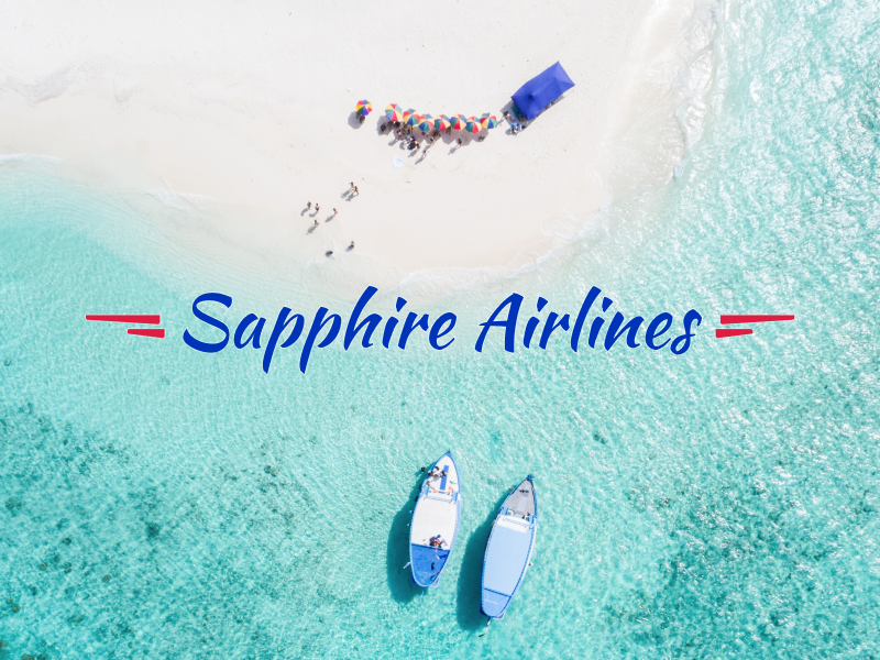 The logo is real, the airline is not vacation beach travel airline logo
