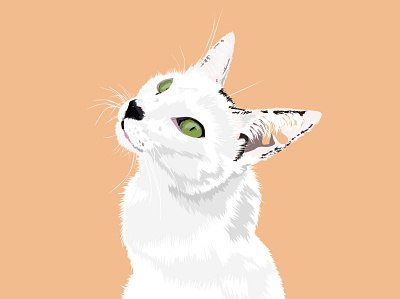 Cute cat side view illustration vector