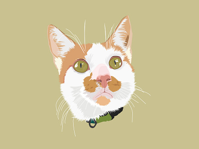 Taro the cat illustration