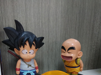 Go Ku & Kuririn