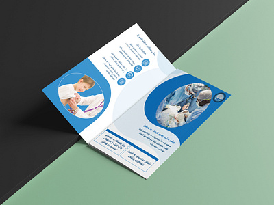 brochure design branding graphic design logo