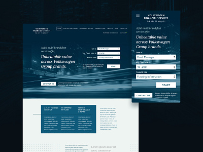 VWFS | Website Design Concept