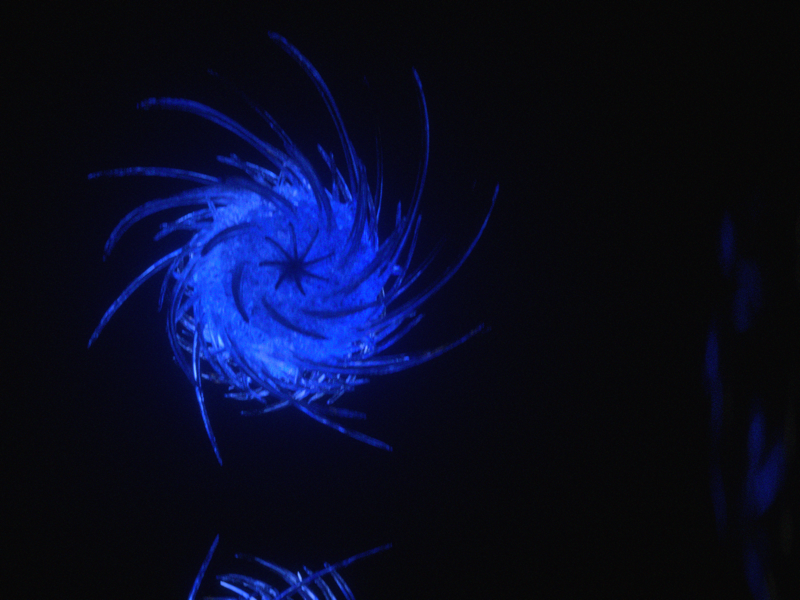Ch10 zbrush maya abstract 3d octane c4d cinema4d design art