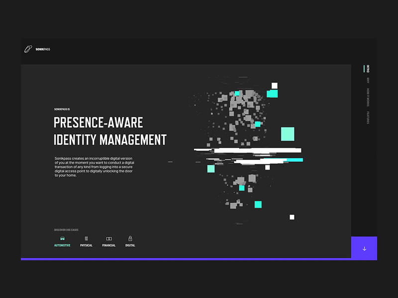 Redacted Identity 3d animation design identity interactive motion sonikpass statics tech web webgl